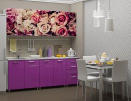 Продажа Маленькая прямая кухня с фотопечатью на верхних фасадах в каталоге Купить Маленькая прямая кухня с фотопечатью на верхних фасадах в каталоге