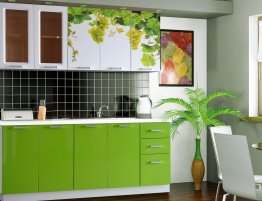 Продажа Маленькая узкая кухня с зелеными фасадами в каталоге Купить Маленькая узкая кухня с зелеными фасадами в каталоге