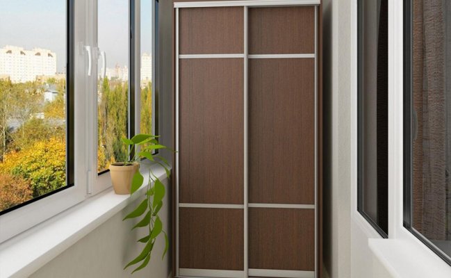 Шкаф-купе двухстворчатый венге