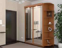 Купить Шкаф-купе с боковыми полками в прихожую в каталоге В коридор
