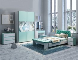 Продажа Шкаф-купе декорированный рисунком в каталоге Купить Шкаф-купе декорированный рисунком в каталоге