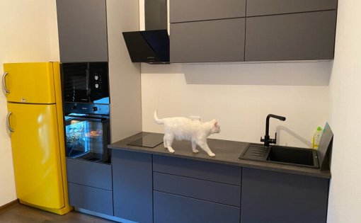 Карточка компании