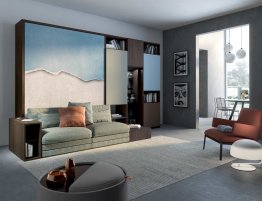 Продажа Шкаф-стенка с диваном в каталоге Купить Шкаф-стенка с диваном в каталоге