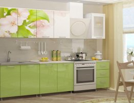 Продажа Прямая кухня с глянцевыми фасадами и фотопечатью  в каталоге Купить Прямая кухня с глянцевыми фасадами и фотопечатью  в каталоге