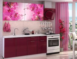 Продажа Небольшая прямая кухня с фотопечатью на фасадах в каталоге Купить Небольшая прямая кухня с фотопечатью на фасадах в каталоге