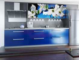 Продажа Кухня голубого цвета с фотопечатью на фасадах в каталоге Купить Кухня голубого цвета с фотопечатью на фасадах в каталоге