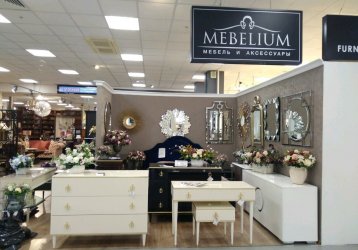 Магазин Mebelium, где можно купить верхнюю одежду в России